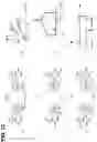 Fig. 13 - Data write circuit of resistive memory element