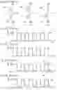 Fig. 10 - Pulse output circuit, shift register and display device