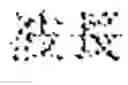 Fig. 04 - Magnetic composite material and rotating electric machine