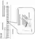 Fig. 19 - Magnetic composite material and rotating electric machine