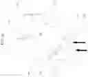 Fig. 10 - FLUID COOLED TOROIDAL AXIAL FLUX MACHINE