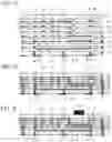 Fig. 05 - Stacked electronic component and method for manufacturing stacked electronic component