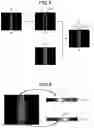 Fig. 04 - Contour extraction method, contour extraction device, and non-volatile recording medium