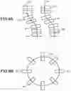 Fig. 08 - Contour extraction method, contour extraction device, and non-volatile recording medium