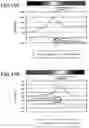 Fig. 10 - Contour extraction method, contour extraction device, and non-volatile recording medium