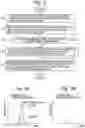 Fig. 03 - Method for simultaneous multicomponent analysis using mass spectrometry and mass spectrometer
