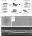 Fig. 01 - Transition metal chalcogenide van der waals films, methods of making same, and apparatuses and devices comprising same