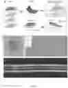 Fig. 03 - Transition metal chalcogenide van der waals films, methods of making same, and apparatuses and devices comprising same