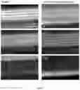 Fig. 08 - Transition metal chalcogenide van der waals films, methods of making same, and apparatuses and devices comprising same