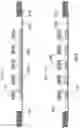 Fig. 12 - Method for dicing die attach film