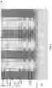 Fig. 04 - Integration of air spacer with self-aligned contact in transistor