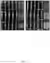 Fig. 05 - Method for forming nano sensing chip by selective deposition of sensing materials through device-localized Joule heating and nano sensing chip thereof