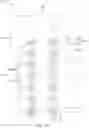 Fig. 24 - Method for manufacturing nanostructure with various widths