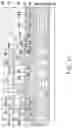 Fig. 17 - Packages with Si-substrate-free interposer and method forming same