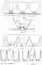 Fig. 06 - Illumination apparatus
