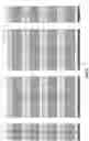 Fig. 10 - Structures and methods for memory cells