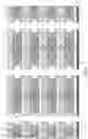 Fig. 20 - Structures and methods for memory cells