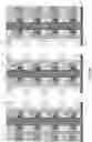 Fig. 51 - Structures and methods for memory cells