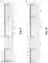 Fig. 09 - Memory cell comprising a metal control gate with a work function for an enlarged operation window