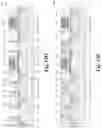 Fig. 18 - Memory cell comprising a metal control gate with a work function for an enlarged operation window
