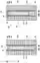 Fig. 07 - Microelectronic devices, electronic systems, and related methods