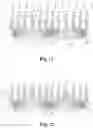 Fig. 06 - Dishing prevention dummy structures for semiconductor devices