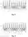 Fig. 07 - Dishing prevention dummy structures for semiconductor devices