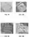 Fig. 06 - FLEXIBLE INTEGRATED CONCENTRATORS FOR SOLAR CELLS