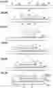 Fig. 07 - Light emitting device