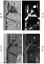 Fig. 09 - Thermally activated memristors, fabricating methods and applications of same