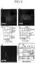 Fig. 05 - Four-or-more-component-based chalcogenide phase-change material and memory device comprising the same