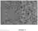 Fig. 14 - Advanced light extraction structure