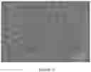 Fig. 19 - Advanced light extraction structure