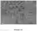 Fig. 23 - Advanced light extraction structure