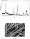 Fig. 02 - LINEAR HIERARCHICAL STRUCTURE LITHIUM TITANATE MATERIAL, PREPARATION AND APPLICATION THEREOF