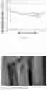 Fig. 04 - LINEAR HIERARCHICAL STRUCTURE LITHIUM TITANATE MATERIAL, PREPARATION AND APPLICATION THEREOF