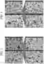 Fig. 05 - Nickel active material precursor for lithium secondary battery, method for producing nickel active material precursor, nickel active material for lithium secondary battery produced by method, and lithium secondary battery having cathode containing nickel active material