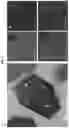 Fig. 04 - Positive electrode active material for lithium secondary battery and lithium secondary battery including the same