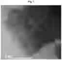 Fig. 06 - Positive electrode active material for lithium secondary battery and lithium secondary battery including the same