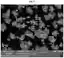 Fig. 09 - Positive electrode active material for lithium secondary battery and lithium secondary battery including the same
