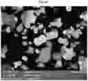 Fig. 10 - Positive electrode active material for lithium secondary battery and lithium secondary battery including the same