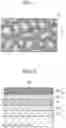 Fig. 02 - SOLID-LIKE MAGNESIUM-ION CONDUCTOR INCLUDING POROUS SILICA AND ELECTROLYTE, AND SECONDARY BATTERY USING THE SAME