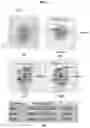 Fig. 09 - Triple-mode dielectric resonator filter, method for manufacturing the same, and band pass filter using dielectric resonator and NRN stub
