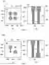 Fig. 03 - Resonator