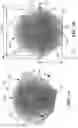 Fig. 02 - Dielectric resonator antenna system