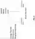 Fig. 04 - Photonic lantern structures and devices