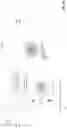 Fig. 11 - Photonic lantern structures and devices