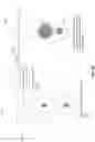 Fig. 14 - Photonic lantern structures and devices
