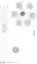 Fig. 18 - Photonic lantern structures and devices