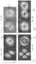 Fig. 08 - Generation of high-power spatially-restructurable spectrally-tunable beams in a multi-arm-cavity vecsel-based laser system